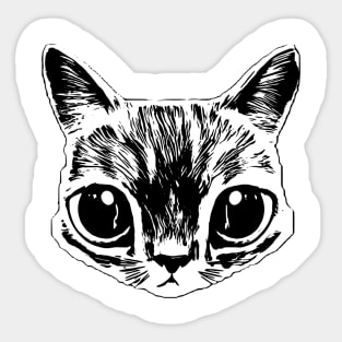 Cat Sticker